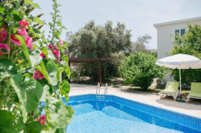 Five Greeks 4 Bedroom Villa in Paphos